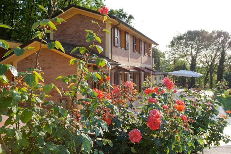 Agriturismo Di Paterno Сарцана Екстериор снимка
